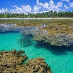 Praia de Taipu de Fora